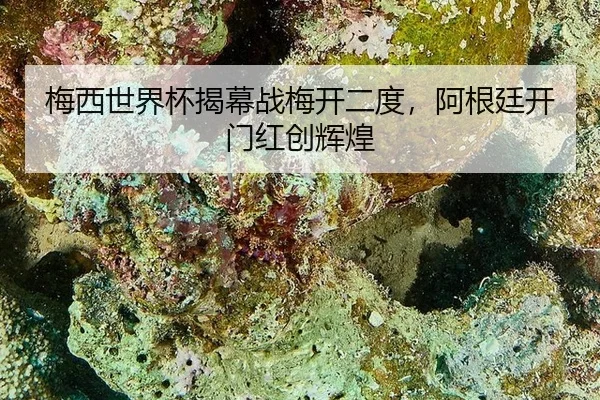 mei-xi-shi-jie-bei-jie-mu-zhan-mei-kai-er-du-a-gen-ting-kai-men-hong-chuang-hui-huang-2-224.jpg
